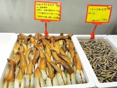 -蚝专家(北滘店)