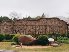 -嘉定紫藤园