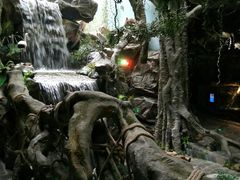 -多彩贵州城极地海洋世界