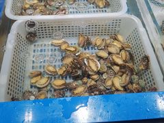 水产区-青岛蓝海大饭店·爱琴海自助餐厅(崂山店)