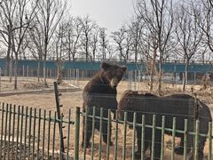-秦皇岛野生动物园