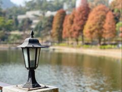 -大埔公路-马料水段香港中文大学(公交站)