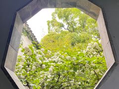 -惠山古镇·寄畅园