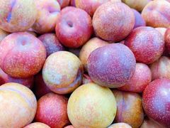 -世纪联华超市(外海店)