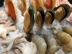 扇贝-丽江庭院之爱在路上(西单店)