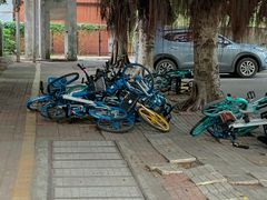 -南方医科大学第三附属医院