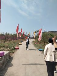 -窦王岭景区游乐场