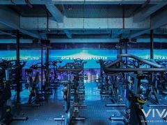 -GYMCARE VIVA(金开店)