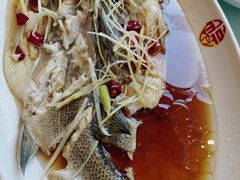 -添福来墨鱼饺子 · 海鲜东北菜(泡崖店)
