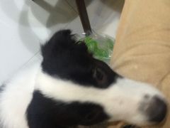 -上海潜殿潜水中心