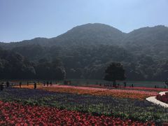-广州市石门国家森林公园