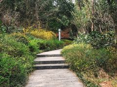 -云龙山