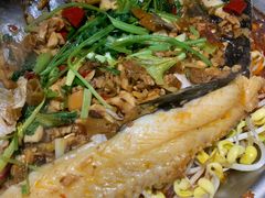 -黑猫馋纸包鱼(阳光店)
