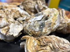 生蚝-虾宝贝胶东海鲜·渔家菜(小西天店)