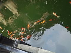 -上海浦东星河湾酒店