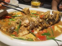 -大雄九老菜馆(南门桥店)