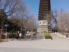 -玲珑塔公园