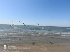 -老虎石海上公园