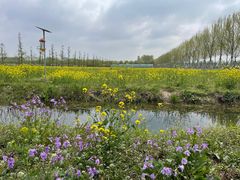 -兰陵国家农业公园