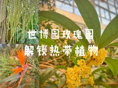 -沈阳植物园