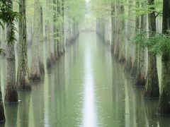 -泗洪洪泽湖湿地景区