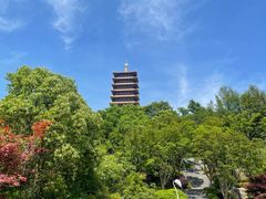 -牛首山文化旅游区