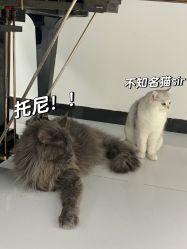 -熙.Hair 丨专注女子中长发丨