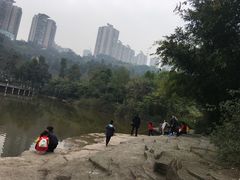 -龙头寺公园