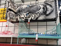 -宜家家居(哈尔滨商场店)