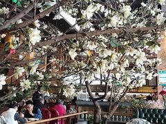 -山有花啡餐厅(常营总店)