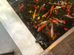 -衡山汇·高级粤菜(霄云路店)