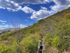 -大觉寺-停车场
