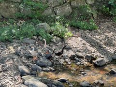 -宁波五龙潭景区