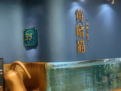 -黄晓猫剁椒大鱼头(海岸城店)