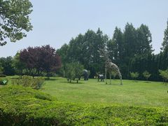 -棒棰岛宾馆景区