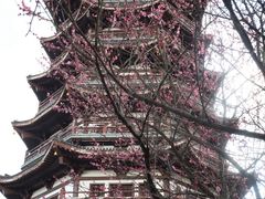 -洋湖国家湿地公园