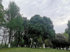 -洋湖国家湿地公园