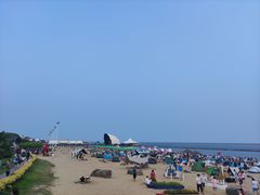 -碧海金沙