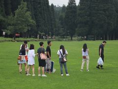 -武陵山森林公园