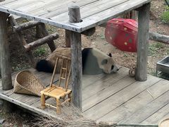 -大连森林动物园