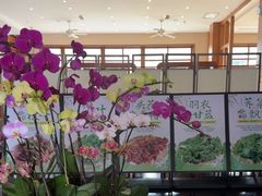 -黔蘑菇四季餐厅(观山湖店)