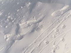 -采薇庄园四季滑雪场