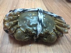 -小陆莲花蟹园农家乐(莲花岛店)