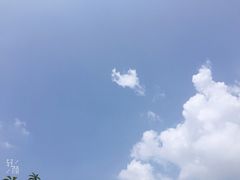 -将军关探险漂流