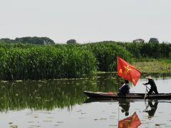 -洪湖生态旅游区