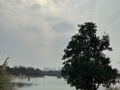 -武汉园博园(武汉自然博物馆)