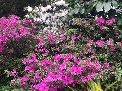 -晓港公园