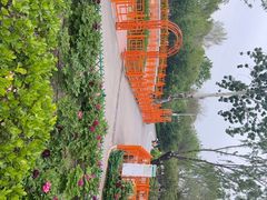 -太阳宫公园