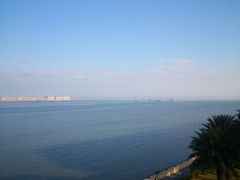 -大湾区中央湿地公园