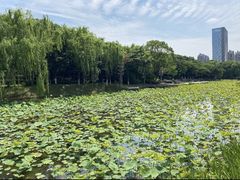 -桐乡植物园